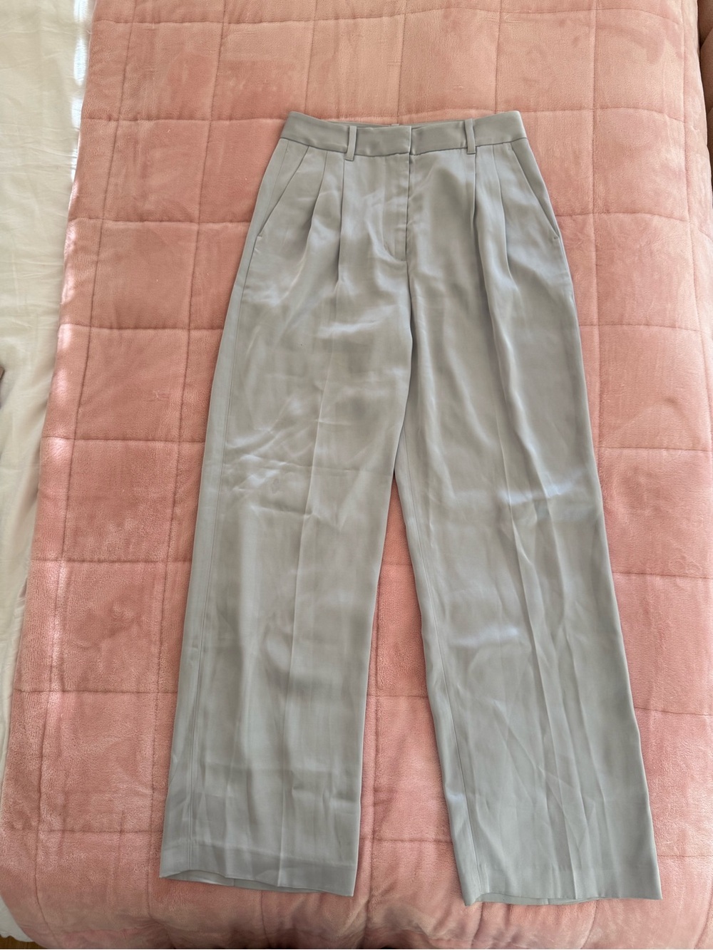 Aritzia Straight-Leg Pleated Pants in Light Gray
